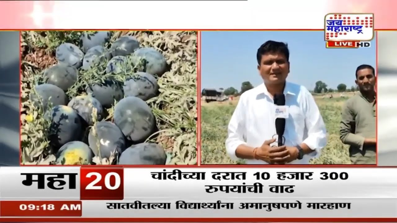 Nashik Farming | चांदवड तालुक्यातील टरबुजांना कोलकत्ता येथे मागणी, शेतकऱ्याला भरघोस नफा