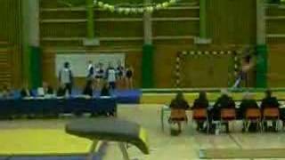 JSM  SOFIAFLICKORNA