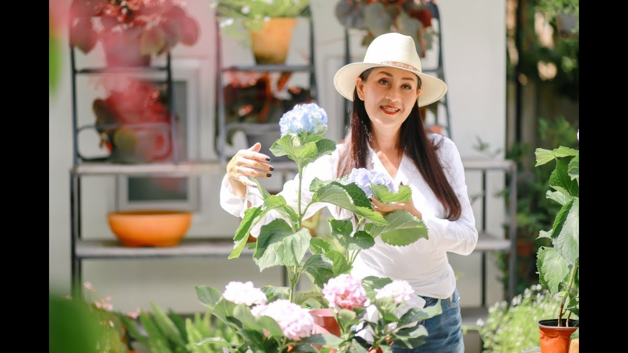 มิสแอนเดรียไดอารี่ EP66 17 ก.ย.60