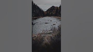 قران_كريم #قرآن #قران_كريم #اسلاميات #تلاوة_خاشعة #محمد_صديق_المنشاوي #المنشاوي
