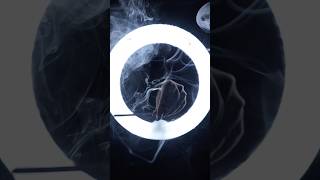 ASMR Ring Light Reiki ✨ #asmrhandmovements #reikiasmr #asmrplucking #visualasmr #asmrloop #asmr