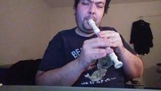 Street Fighter - Guiles Theme Flute (Recorder) Cover