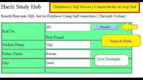 Search or Find Data From Sql Server Database Using SqlConnection in Asp.Net C# | Hindi
