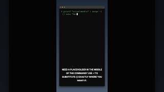 xargs: build powerful command pipelines from stdin