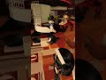 The building broke