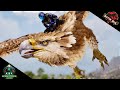 Taming My First GRIFFIN || Ark Ragnarok Ascended