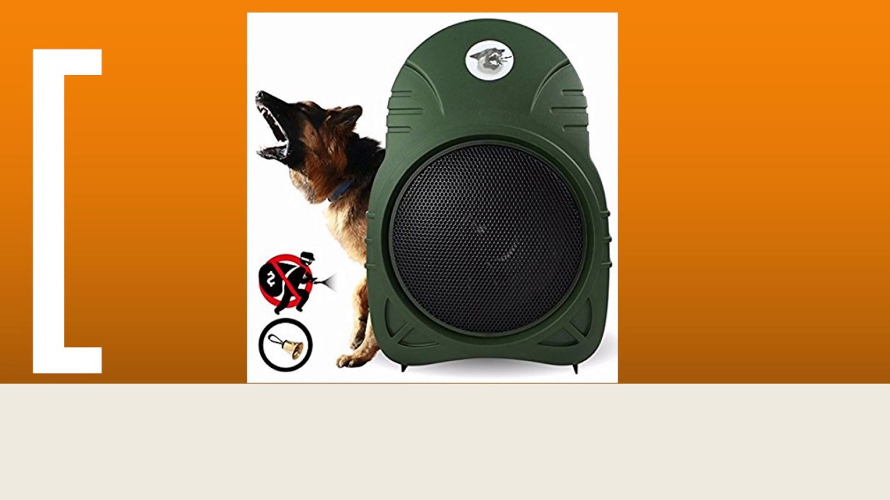 Top 10 Barking Dog Alarms in 2018 YouTube