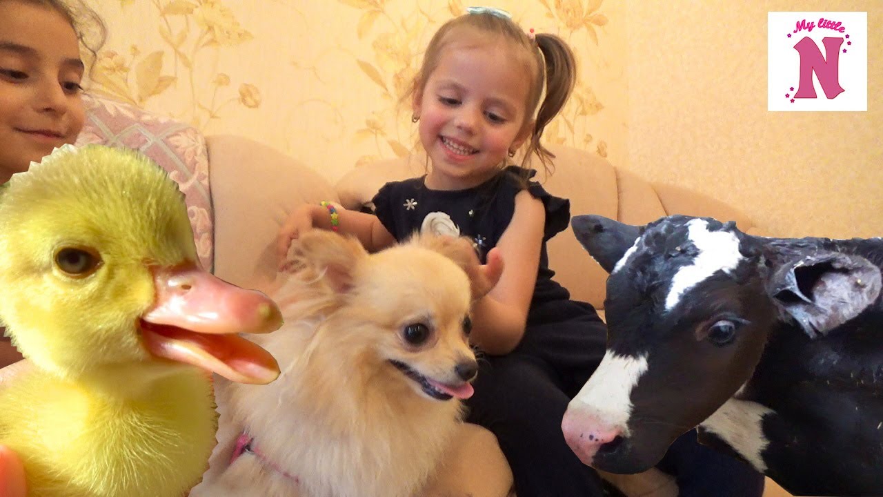 ЧЕЛЛЛЕНДЖ Игрушки vs Настоящие ЖИВОТНЫЕ Корова улитки КОШКА хомяк и СОБАЧКА Challenge