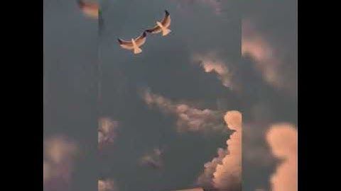 VẼ TRANH VÀ TRẦN MÂY 3D TẠI ĐỒNG CAU - ĐỒNG HỶ - THÁI NGUYÊN 0964503986