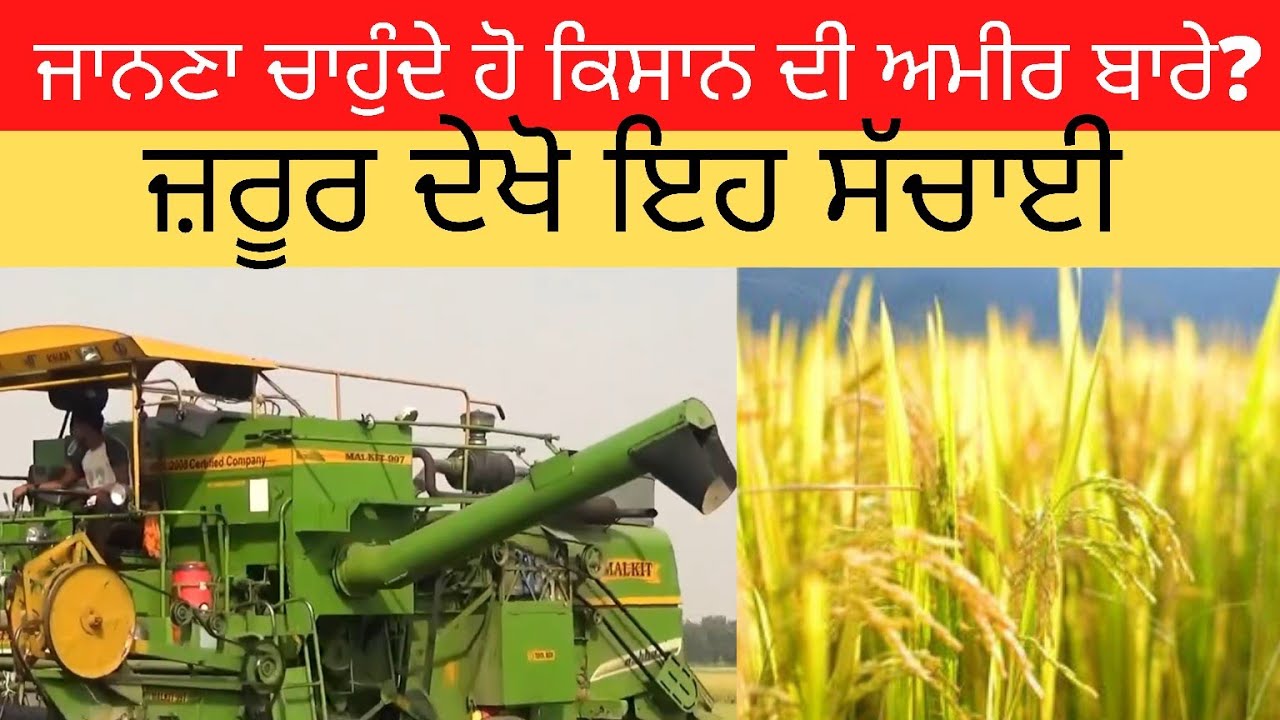 Harsh Reality of farmer\'s and their fields| Ground Report| des pardes TV