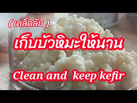 วีดีโอ: วิธีการอบมานาบน Kefir ด้วยโกโก้?