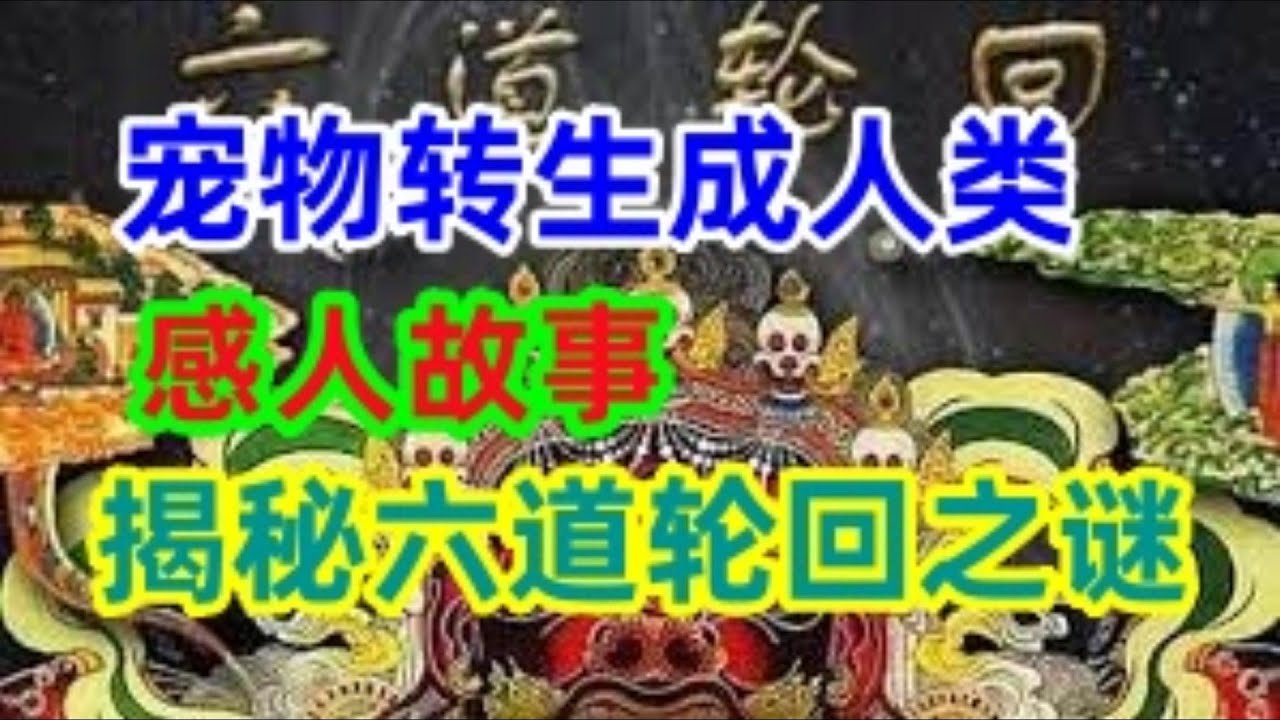 【生命奥秘】转生成人的宠物狗：前世因果的惊人体现，令人动容！#六道轮回#生命奇迹#畜生道之谜#宠物转生#前世今生 - YouTube