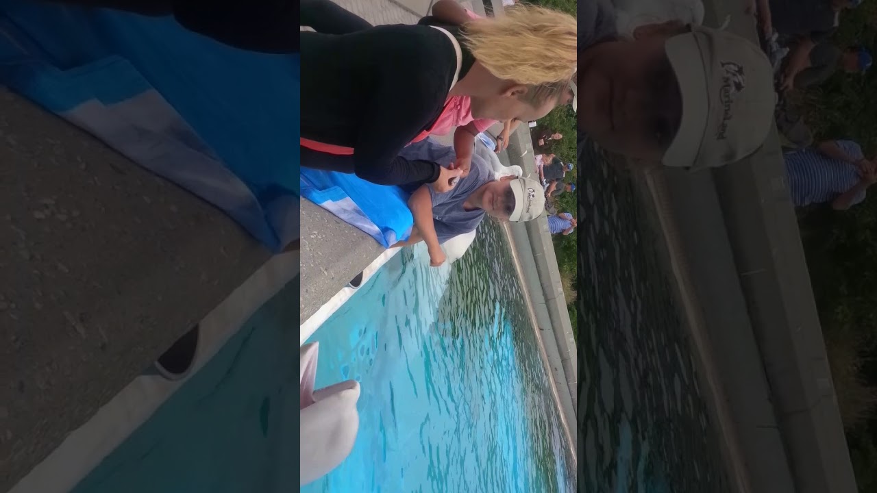 Aaliya's Adventures @ Marineland 2