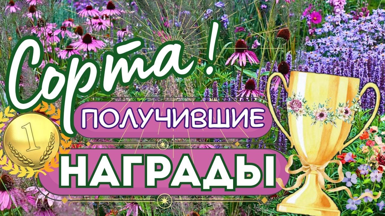 Список растений получивших награды от садоводческого общества. Обзор сортов, вид, назначение в саду.