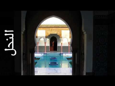 سورة النحل موسى بلال Surah An Nahl Mousa Bilal 