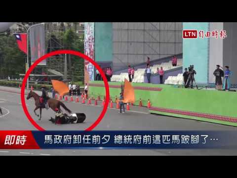 馬政府卸任前夕 總統府前這匹馬跛腳了... - 馬政府卸任前夕 總統府前這匹馬跛腳了...