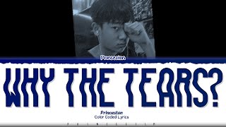 [AI COVER] Princeston - Why The Tears? (ร้องไห้ทำไม) | (Orig. By Bird Thongchai)
