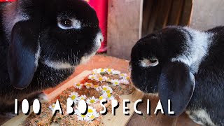 100 Abonennten Special Pfötchenbande