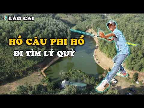 CÂN PHAO ĐÁNH RƠI HỒ NƯỚC SÂU, GẶP CÁ ĐÈ NHIỀU... | VIETNAM FISHING TV