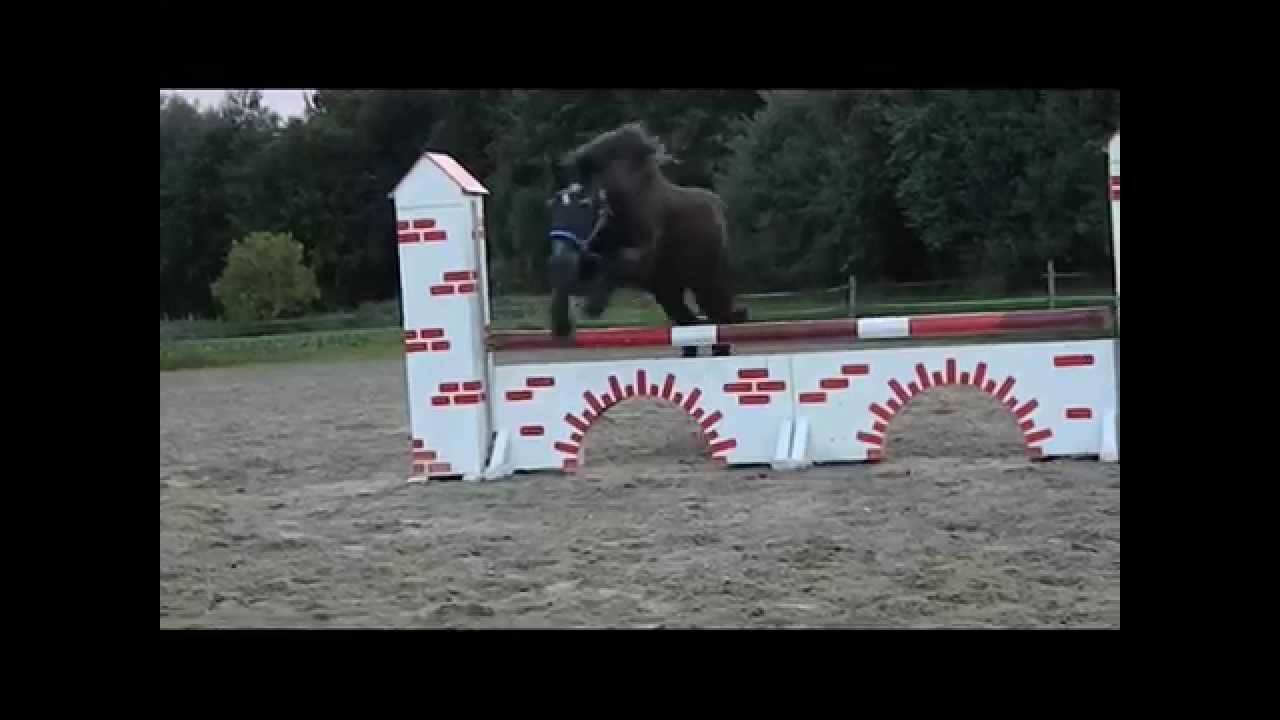 Springpony / Freispringen