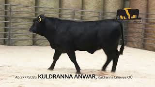 4. KULDRANNA ANWAR 27775028