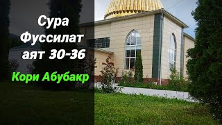 Сура Фуссилат аят 30-36 Кори Абубакр / سورة فصلت القارئ ابو بكر