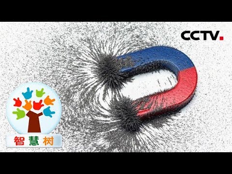 智慧树 磁铁分为两极 同性相斥异性相吸20190213 Cctv少儿 Youtube