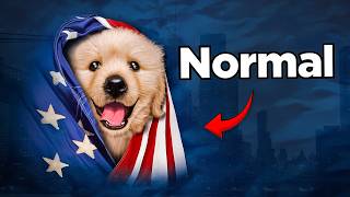 Crazy Things Considered Normal in The USA