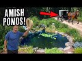 AMAZING AMISH Country Pond