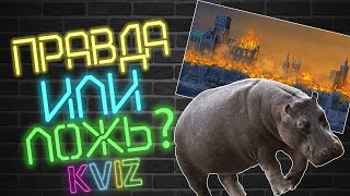 Угадай - ПРАВДА или ЛОЖЬ! | Интересные факты |  KVIZ | (Quiz игра 2020)