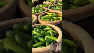 Cucumber Pickling Process #DIY #Craftsmanship #WorkProcess