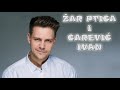 Ruska bajka &quot;ŽAR PTICA I CAREVIĆ IVAN&quot; (čita Miloš Biković) # 2. deo