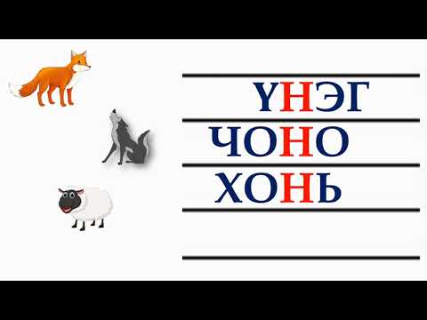 Видео: Нохойны шоу: бэлтгэл ажил