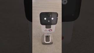 Maggie Robot for Invest India At Yashbhoomi Dwarka Event