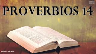 Proverbios 14 | La Biblia en tus manos | Carlos Martín