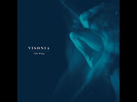 Visonia ~ Fake Wings