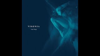 Visonia ~ Fake Wings