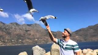 Download Lagu How AMAZING is this 😀👍 MP3 Download Lagu How AMAZING is this 😀👍 MP3