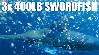 Team Brutus May Swordfishing | 3x 400lb Swordfish