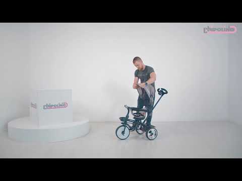 Tricycle VEGA