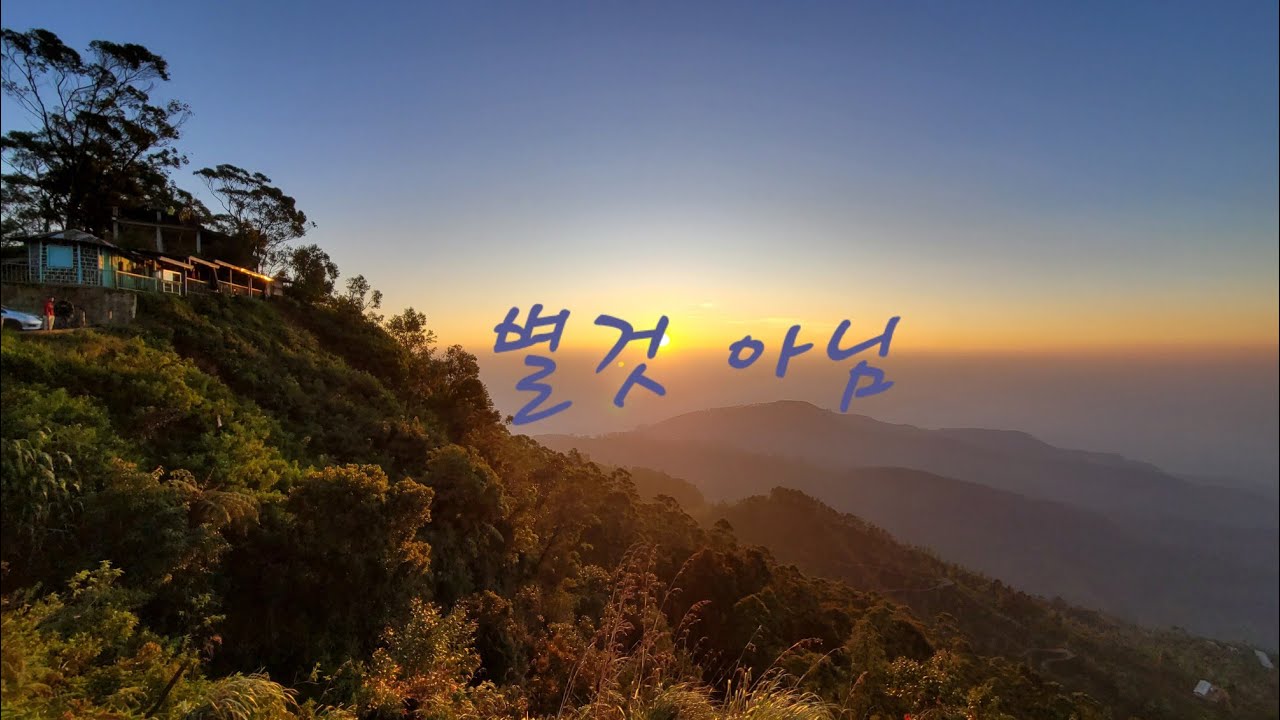 닥치고 5분 나만보기