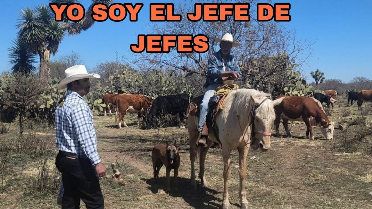 Cuidando el ganado con Don Manuel 🐄🏜️