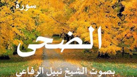 سورة الضحى الشيخ نبيل الرفاعي