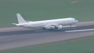 Romanian farm workers flown to UK on chartered flight to help keep up screenshot 5