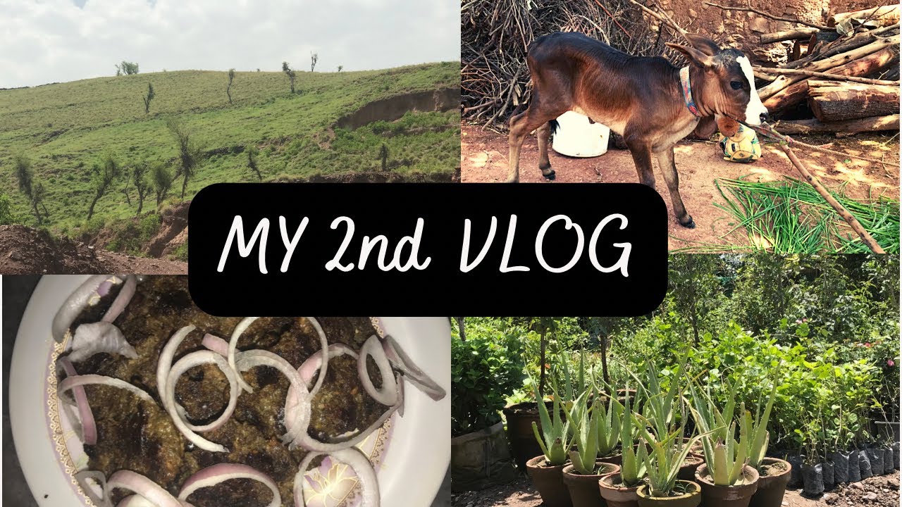 My second vlog|Back to home|Grill Chapli kabab