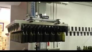 Packaid Bortolinkemo Depalletiseermachine Type Ceo