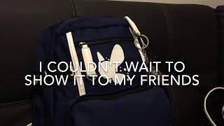 Luminous Zelda Backpack