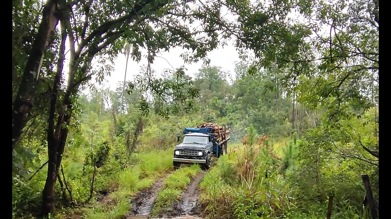 MESMO COM CHUVA FOMOS BUSCAR TORA