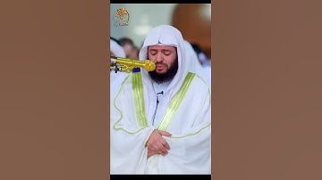 ما تيسر من سورة النحل بصوت خاشع وجميل بصوت القارئ الشيخ وديع اليمني