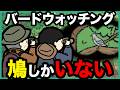 鳩しかいないバードウォッチング【アニメ】【コント】